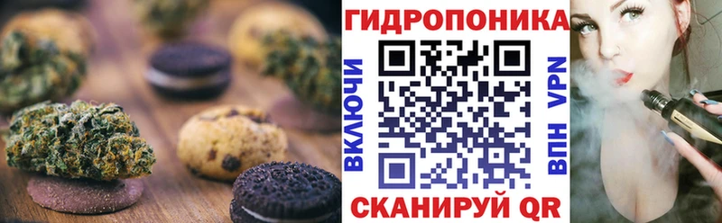 Canna-Cookies конопля  omg как зайти  Черноголовка  даркнет сайт 