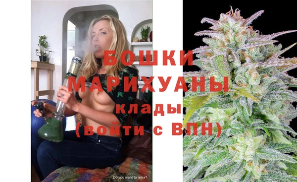 дживик Белокуриха